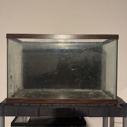 29 Gallon Aquarium 