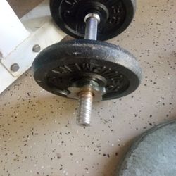 Various Weights (Barbell Dumbbell, 15 Lb Dumbbell, 2 Sets Of 25 Lb Plates)