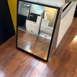 Robern 24 X30 medicine cabinet electric