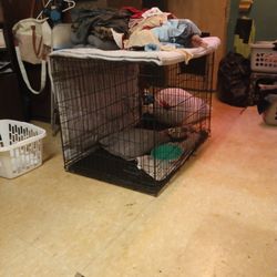 Large dog cage/kennel $50 obo
