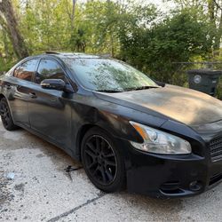 2010 Nissan Maxima