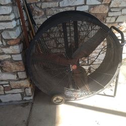 For Sale Big Fan