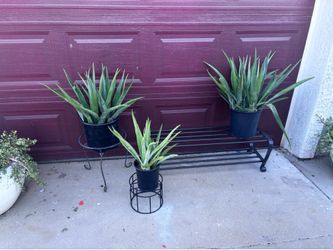 Plant holders/stands bundle all 3 for $25
