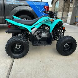 Yamaha Raptor 110 2024
