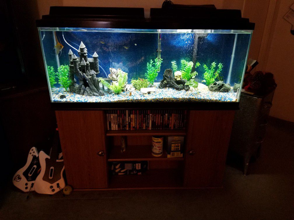 55 Gallon Fish Tank. Tropical Fish and Tank Stand Included.