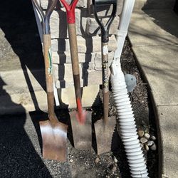 Shovels 3.00 Each