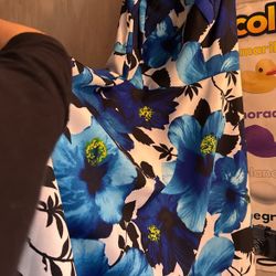 Beautiful Woman Dress Size 4 Like New