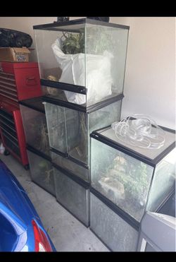 6 18x18x18 zilla $100 each