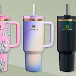 All Five Wicked Stanley’s 