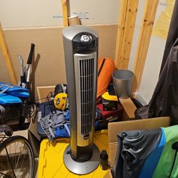 Room Fan