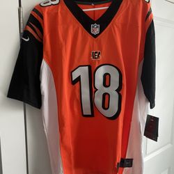 Jt Green Jersey 