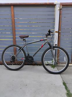 Roadmaster 18 speed bike