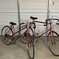 Schwinn Said 10 Speed Male And Female Bikes