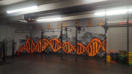 Murals, party backdrops, rooms...