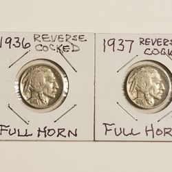 Two Buffalo Head Nickels