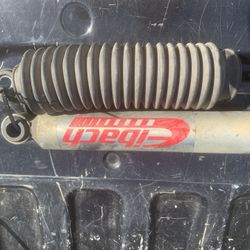 Eibach Rear Shocks