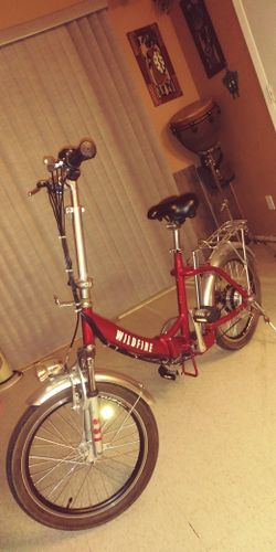Folding electric bike
