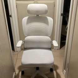 Ergonomic Office Chair