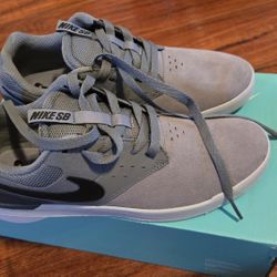 Nike SB Mens Shoes