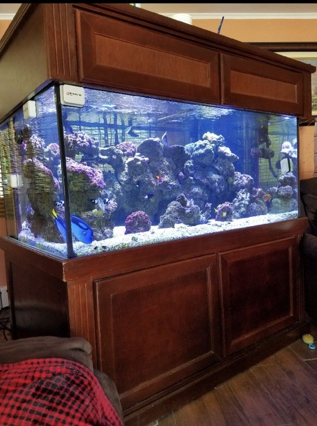 Saltwater Fish Tank 250 Gallon