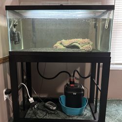 40gallon Breeder Tank 