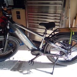 Zebra Electric Bike 2022