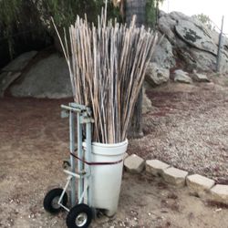 200+ 6’ Bamboo Plant Stakes