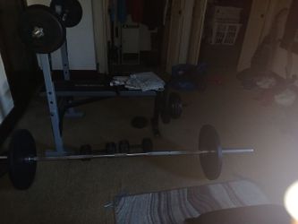 Full weight bench dumbells extra weights and I have a barber chair all in great shape every thing  must go make me a good offer im moving an it has to