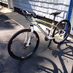 Cannondale Adult Bike 