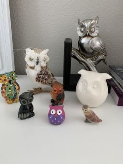 Owl collection