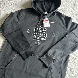 Nike Baseball Mens Hoodie Sweatshirt Size L dark gray Logo Long Sleeve NKAQ-06F