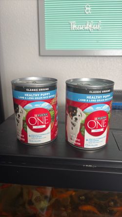 Puppy wet food