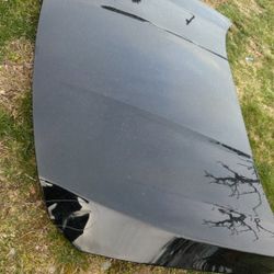 Original Black Hood Accord 2021 