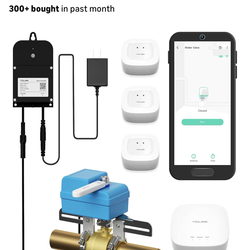 Automatic water leak detection system