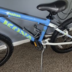 Kona Bike