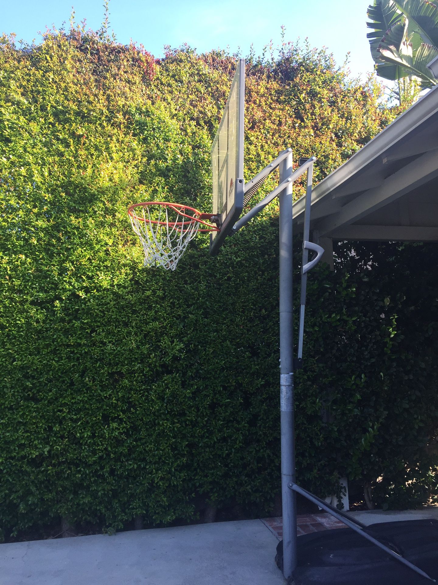 Lifetime shatterproof basketball hoop adjusts to 10 feet. Normal wear