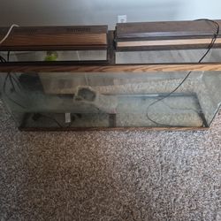 Fish/reptile Tank