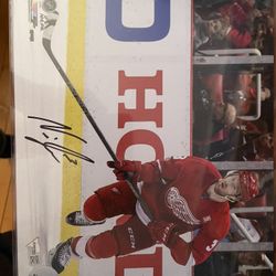 detroit red wings autographed photo 8x10