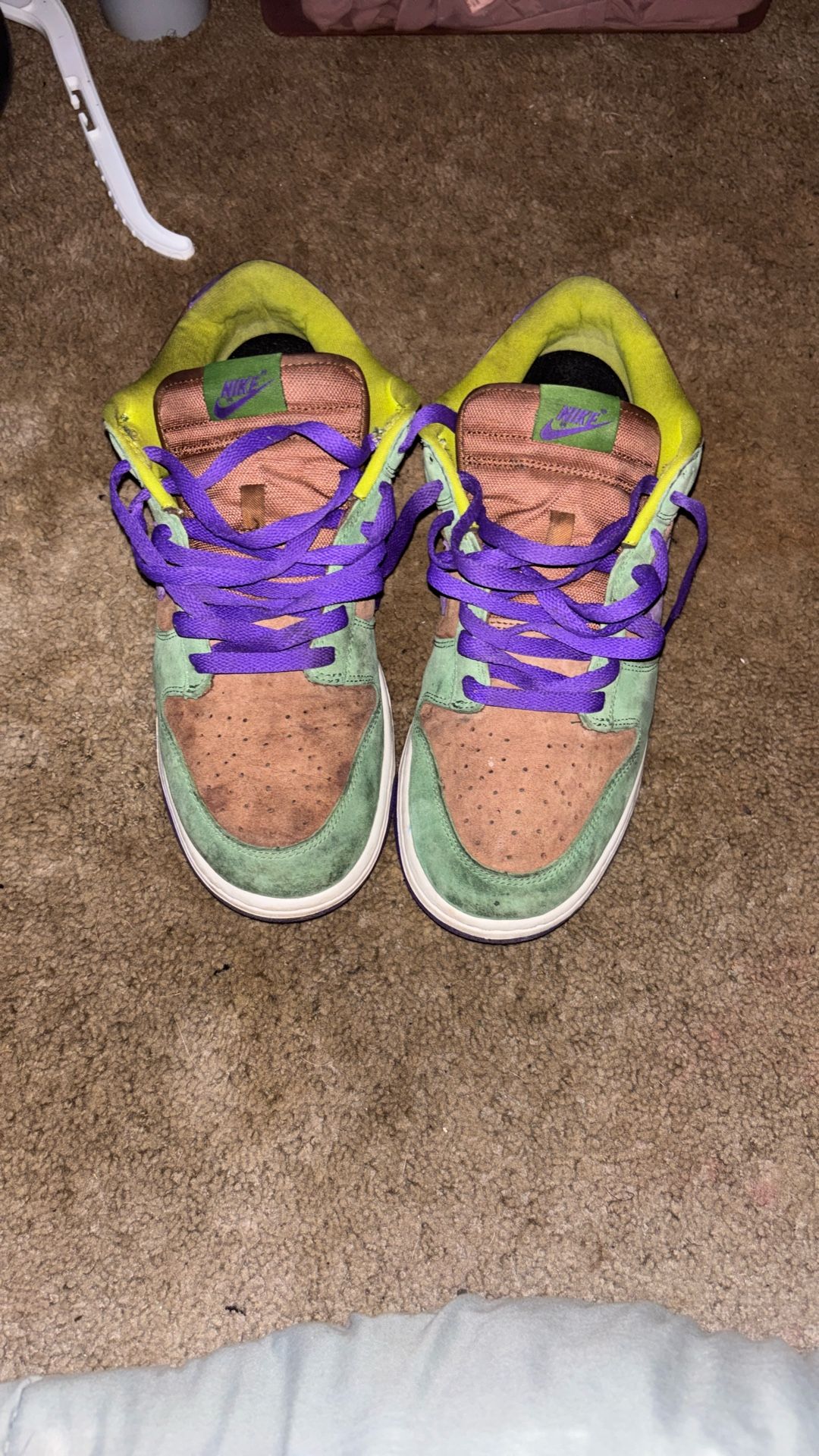 Nike Dunk Veneers