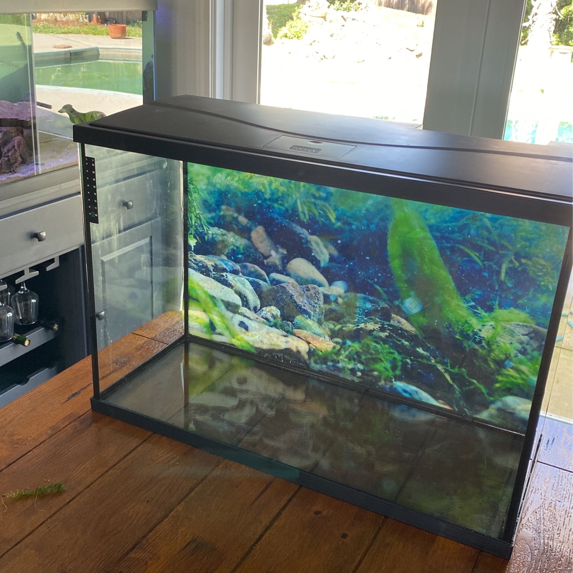 30 gallon Fish tank