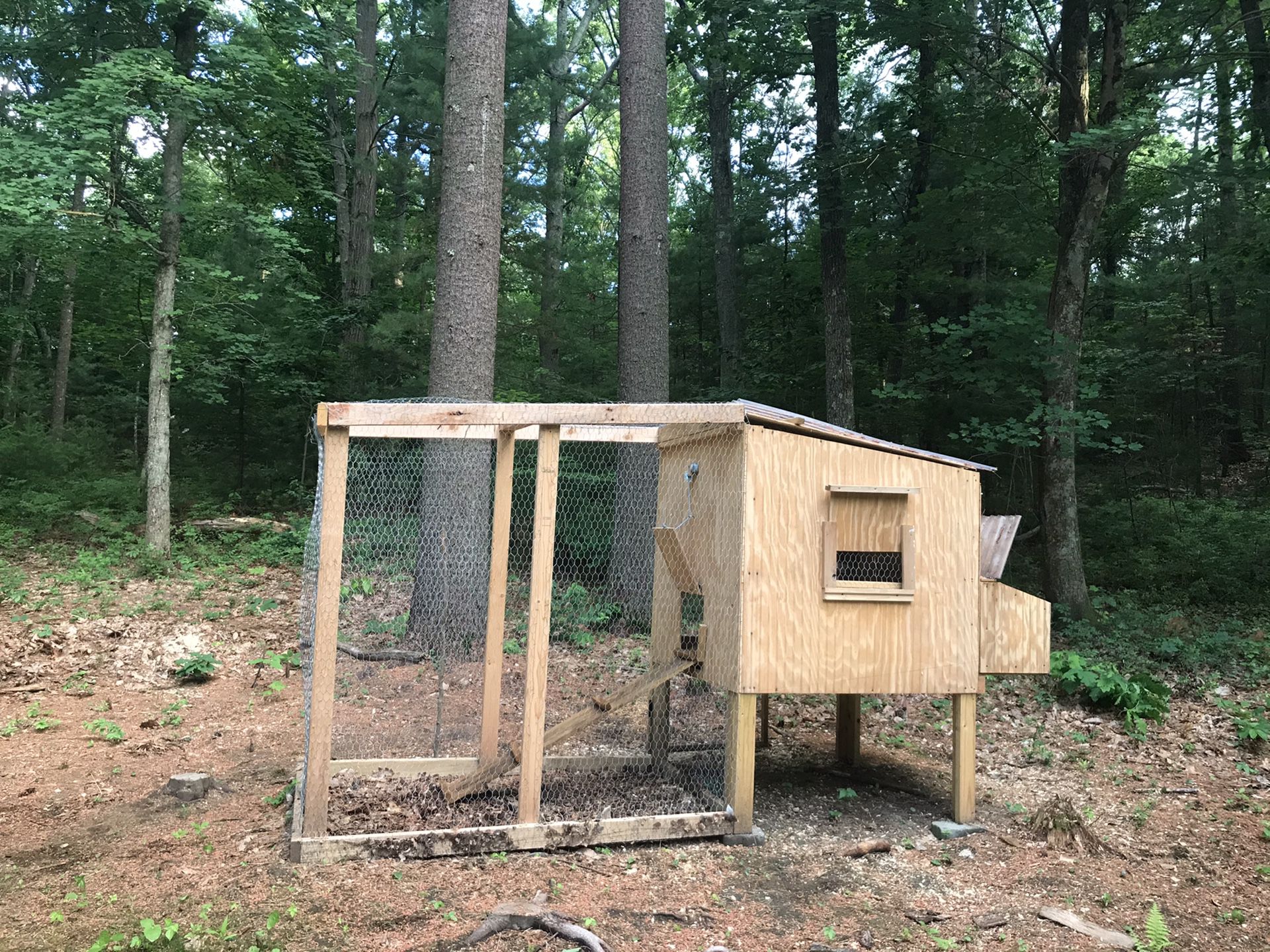 Chicken coop for sale!