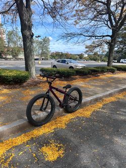2018 fat ripper se bike