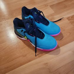 Nike Shoes - Zoom Lebron NXXT AMPD Dusty Cactus