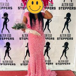 Pink Sequin Dress