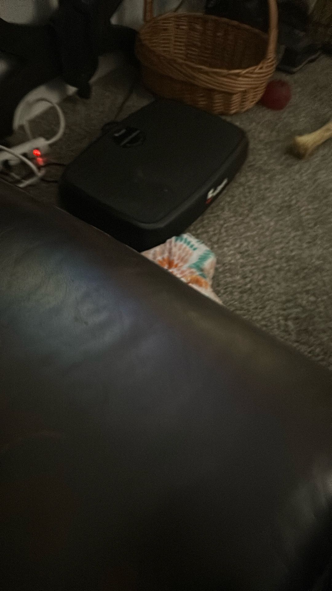 Fitbit
