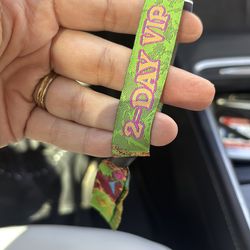 Beyond Wonderland 2026 2 day VIP