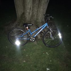 24” Schwinn Mountain Bike 