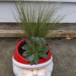 Amazing Holiday Santa Claus Ceramic Pot Holder With Live Plants