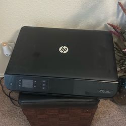 Hp Printer 