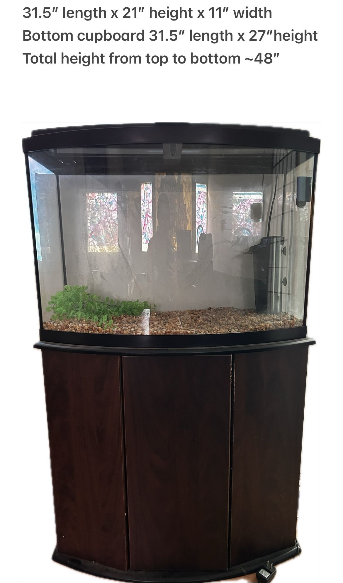 Large Curved Glass Fish Tank with Stand and Storage Cabinet!